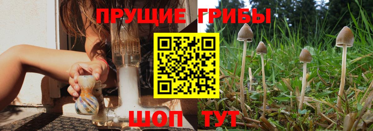Псилоцибиновые грибы Magic Shrooms Прохладный
